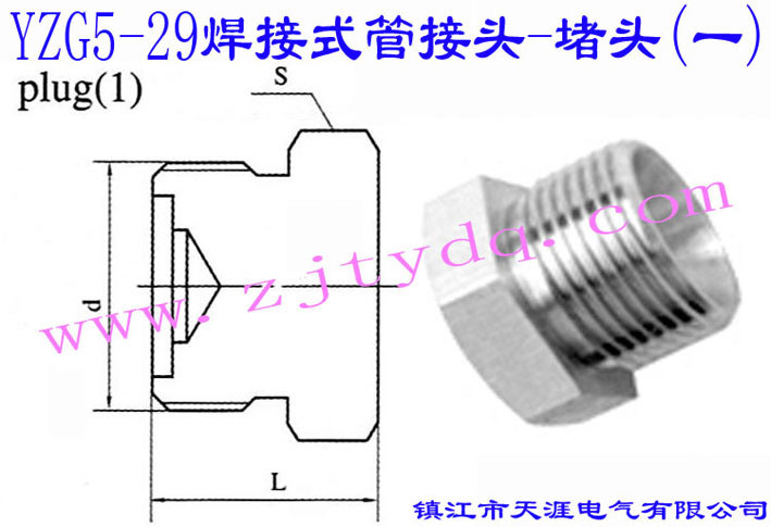 YZG5-29 焊接式管接頭-堵頭(一)Plug 1