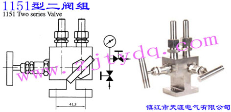 1151型二閥組1151 Two Series Valve