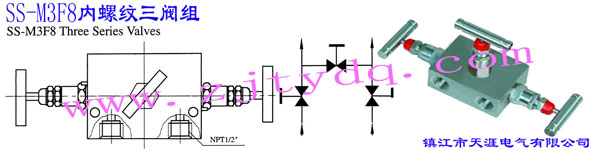 SS-M3F8內(nèi)螺紋三閥組SS-M3F8 Three Series Valve