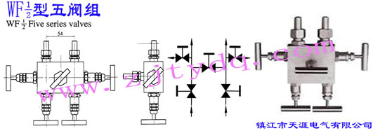 WF-1/2型五閥組WF-1/2 Five Series Valve